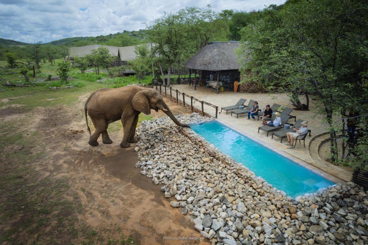 Ongava Tented Camp Okaukuejo Εξωτερικό φωτογραφία