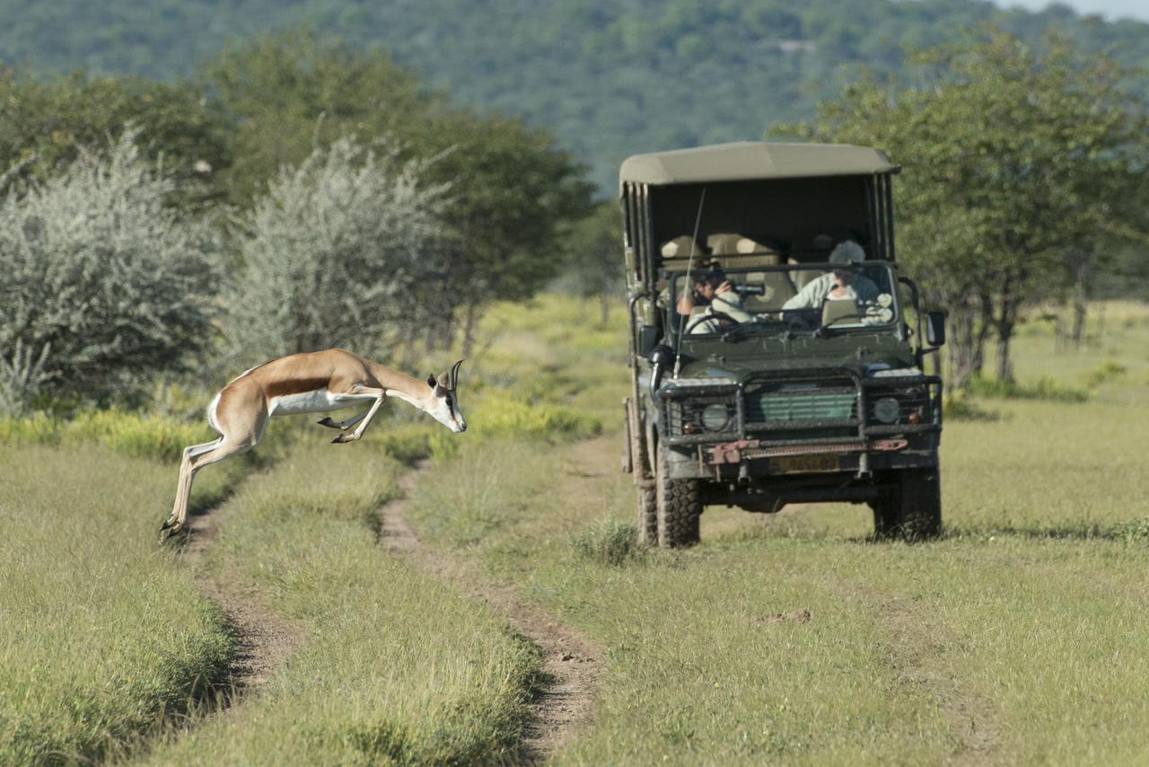 Ongava Tented Camp Okaukuejo Εξωτερικό φωτογραφία