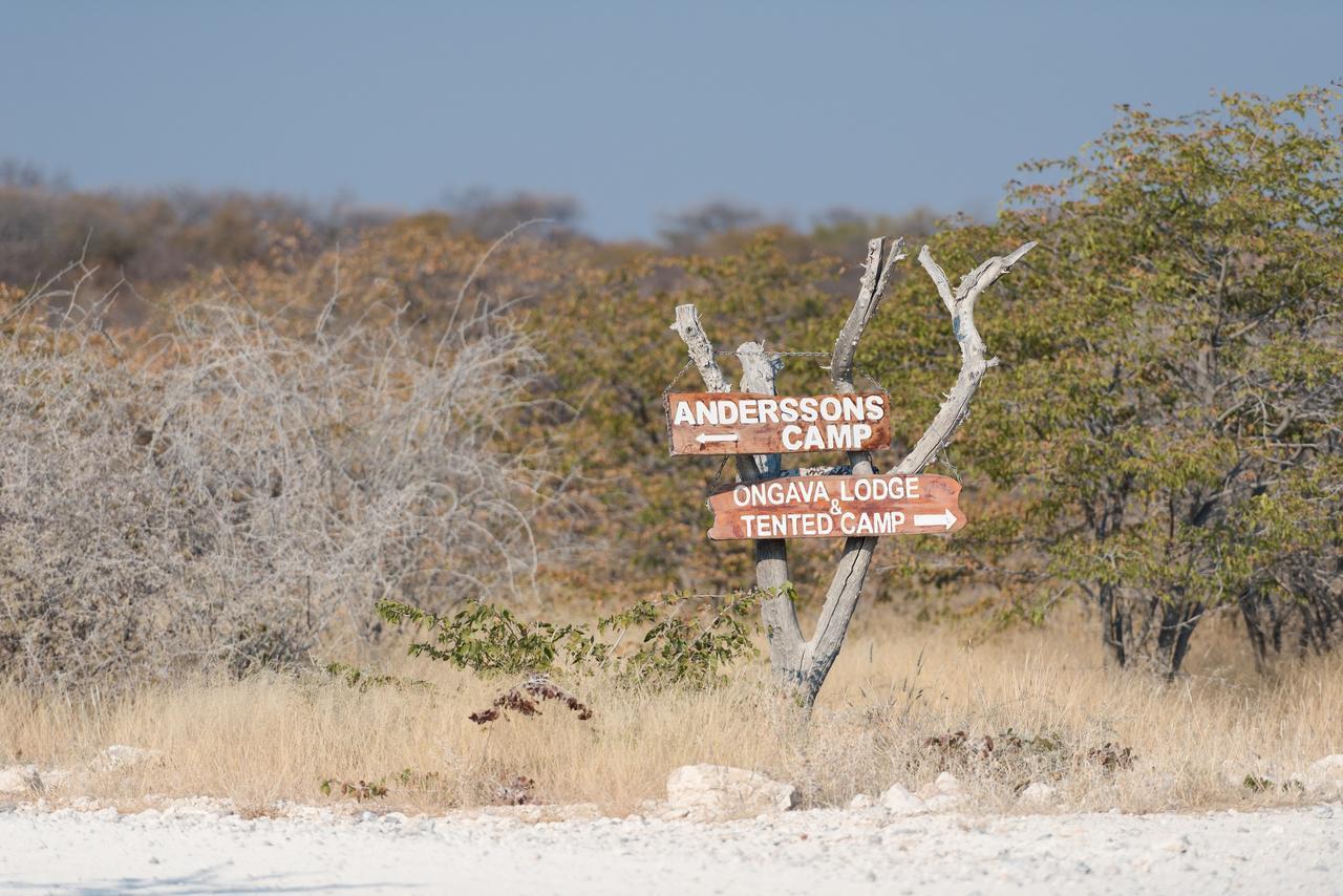 Ongava Tented Camp Okaukuejo Εξωτερικό φωτογραφία